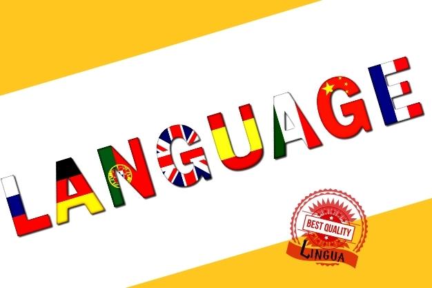 כיתוב מילה שפה באנגלית ובצבעי דגלים של מדינות שונות מייצג שפות שונות שניתן וקבלת שירותי תרגום של חברת LUNGUA